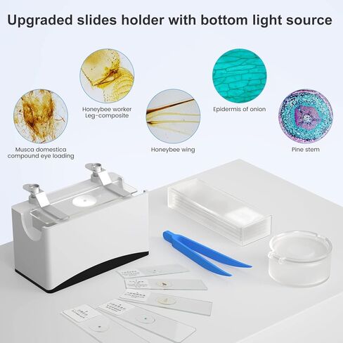 Andonstar Coin مجهر رقمي للعملات المعدنية الخطأ، مجهر رقمي 330X HDMI 2160P UHD سجل فيديو، AD207S PRO 7 بوصة LCD مجهر فيديو بيولوجي للبالغين، بطاقة SD 32 جيجا، 5 قطع شرائح in Kuwait