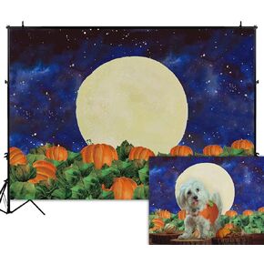 Funnytree 8x6FT Halloween Pumpkin Filed Photography Backdrop for Kids Birthday Party Banner Starry Sky Night Moon Background Photo Booth Favors Gift Props in Kuwait