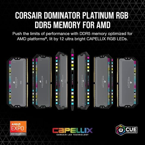 CORSAIR DOMINATOR PLATINUM RGB DDR5 RAM 32GB (2x16GB) 6000MHz CL30 AMD EXPO iCUE Compatible Computer Memory - Gray (CMT32GX5M2B6000Z30K) in Saudi Arabia