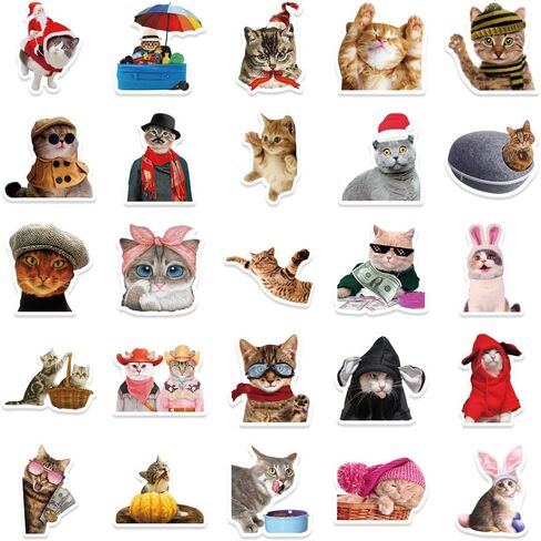 50Pcs Funny Cat Stickers for Kids and Teens - Adorable, Kawaii and Colorful Decals Perfect for Water Bottles, Laptops and Scrapbooking. Waterproof and Easy to Peel Realistic Decals that Add Personality to Any Stationery Notebook or Graffiti Art! in Kuwait