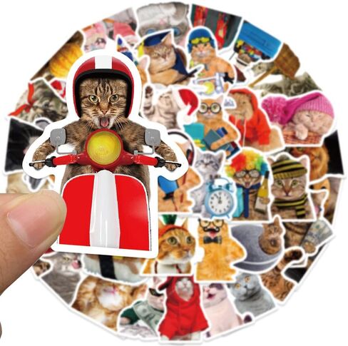 50Pcs Funny Cat Stickers for Kids and Teens - Adorable, Kawaii and Colorful Decals Perfect for Water Bottles, Laptops and Scrapbooking. Waterproof and Easy to Peel Realistic Decals that Add Personality to Any Stationery Notebook or Graffiti Art! in Kuwait