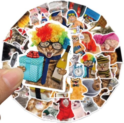 50Pcs Funny Cat Stickers for Kids and Teens - Adorable, Kawaii and Colorful Decals Perfect for Water Bottles, Laptops and Scrapbooking. Waterproof and Easy to Peel Realistic Decals that Add Personality to Any Stationery Notebook or Graffiti Art! in Kuwait