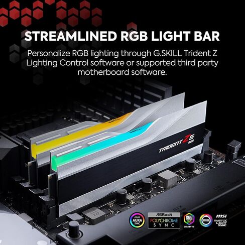 G.سكيل ذاكرة كمبيوتر مكتبي ترايدنت Z5 RGB (انتل XMP 3.0) DDR5 RAM 32GB (2x16GB) 5600MT/s CL36-36-36-89 1.20 فولت UDIMM - فضي معدني (F5-5600J3636C16GA2-TZ5RS) in Saudi Arabia