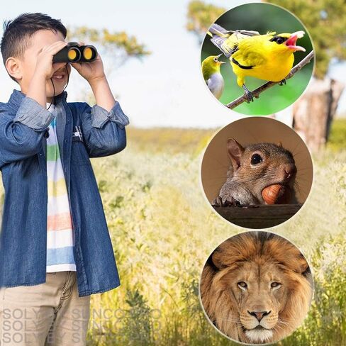 مناظير صغيرة الحجم 30×60، مناظير صغيرة قابلة للطي مع رؤية ليلية، عدسة كبيرة سهلة التركيز للاطفال والكبار لمشاهدة الطيور والسفر والصيد والحفلات الرياضية، تلسكوب مقاوم للماء مع شنطة حزام (اسود) in Kuwait