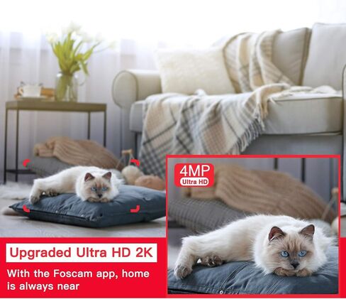 كاميرا مراقبة للمنزل Foscam R4S 4MP WiFi IP Camera، جهاز مراقبة الطفل اللاسلكي مع AI Human Detection Sound Detection 33ft Night Vision 2 Way Audio Camera متوافق مع Alexa Black (متجدد) in Saudi Arabia