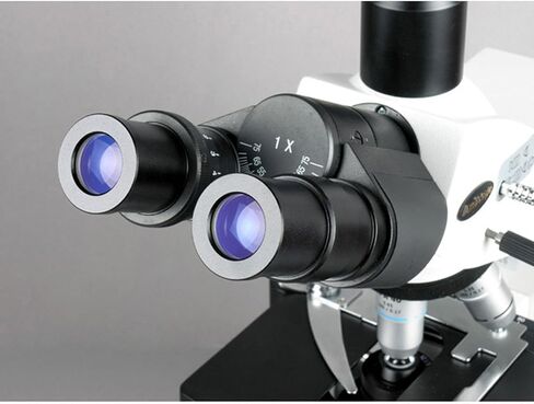 مجهر مركب ثلاثي العينيات AmScope T690B-PL، تكبير 40X-2000X، عدسات WH10x وWH20x فائقة الاتساع، أهداف لونية لخطة إنفينيتي، برايتفيلد، مكثف كوهلر، مرحلة ميكانيكية مزدوجة الطبقة in Saudi Arabia