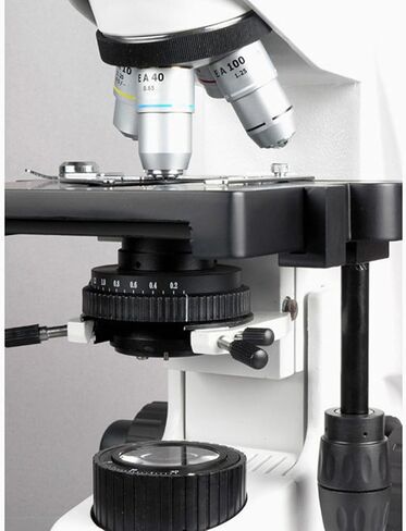 مجهر مركب ثلاثي العينيات AmScope T690B-PL، تكبير 40X-2000X، عدسات WH10x وWH20x فائقة الاتساع، أهداف لونية لخطة إنفينيتي، برايتفيلد، مكثف كوهلر، مرحلة ميكانيكية مزدوجة الطبقة in Saudi Arabia