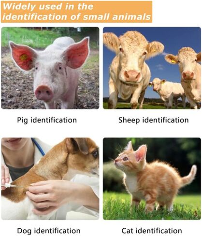 Yoidesu قارئ RFID المحمولة المحمولة العالمي الحيوان رقاقة قارئ الحيوانات الأليفة معرف رقاقة الماسح الضوئي الحيوانات الأليفة رقاقة الماسح الضوئي العالمي الحيوان قارئ رقاقة الحيوانات الأليفة الماسح الضوئي قارئ رقاقة دقيقة in Kuwait