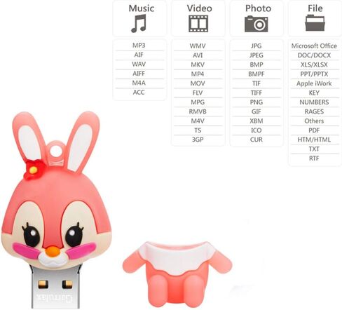 USB Flash Drive, 8GB / 16GB / 32GB USB2.0 Cute Animal USB Memory Stick Date Storage Pendrive Thumb Drives for Kids Children Collegue Student(32GB, Fox) in Kuwait