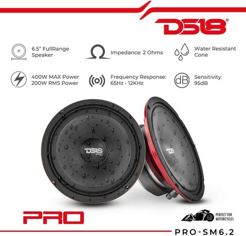DS18 PRO-SM69.2 6x9 Shallow Water Resistant Cone Mid-Range Loudspeaker 500W Max Power, 250W RMS, 2 Ohms - Perfect for Motorcycle Applications (1 Speaker) in Saudi Arabia