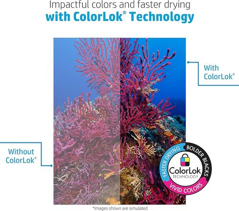 ورق طابعة HP | 8.5 × 11 ورقة | متعدد الأغراض 20 رطل | 3 علبة ريام - 1500 ورقة | 96 مشرق | صنع في الولايات المتحدة الأمريكية - معتمد من مجلس رعاية الغابات (FSC) | 112530ج in Kuwait