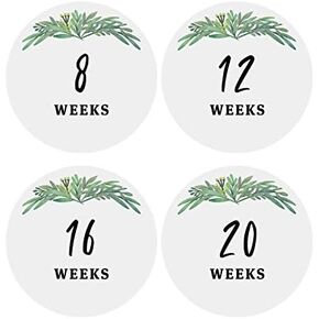 Modern Maxwell Baby Pregnancy Milestone Week Stickers 16 Pack 4 Inches Great Baby Gift Pregnancy Announcement in Saudi Arabia