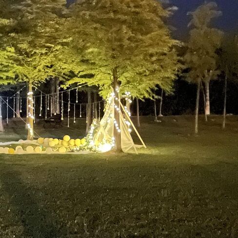 Lunpliran Magnetic Zip Tie Mount Multipurpose Magnetic Cable Holder Ties Magnets Wire Management (180, Black) in Kuwait