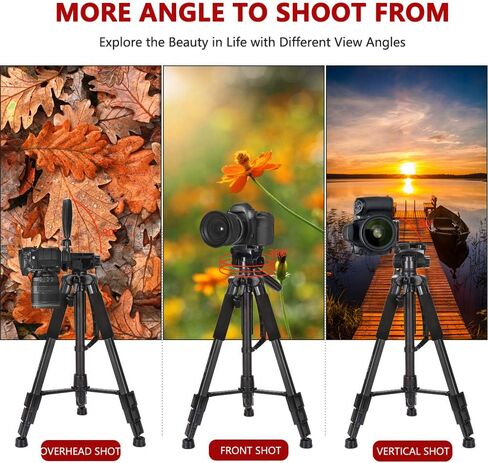 ZOMEI حامل ثلاثي للكاميرا مقاس 65 بوصة وخفيف الوزن وخفيف الوزن للسفر من الألومنيوم لكاميرا Canon Nikon مع لوحتين سريعتين وحامل هاتف عالمي بوزن 11 رطل (أسود) in Kuwait