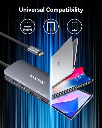 WENTER USB C Hub, 10 Gbps USB Adapter with 2 USB-C Ports and 2 USB-A Ports, 4-in-1 Data USB C 3.1 Hub for MacBook Pro, MacBook Air, Dell XPS, Lenovo Thinkpad, HP ect. (Not for Charging/Monitor) in Kuwait