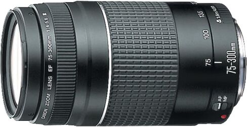 مجموعة عدسات تكبير تليفوتوغرافي Canon 6473A003 EF 75-300mm F4-5.6 III مع حزمة حماية محسنة CPS لمدة 7 سنوات in Kuwait