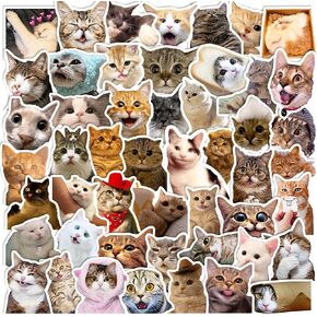 100 قطعة من ملصقات القطط اللطيفة، ملصقات Lifany Funny Cat للأطفال، ملصقات Lifany الفينيل المقاومة للماء لأجهزة الكمبيوتر المحمول، ممتص الصدمات، لوح التزلج، زجاجات المياه، الكمبيوتر، الهاتف، ملصقات حيوانات لطيفة للأطفال المراهقين in Kuwait