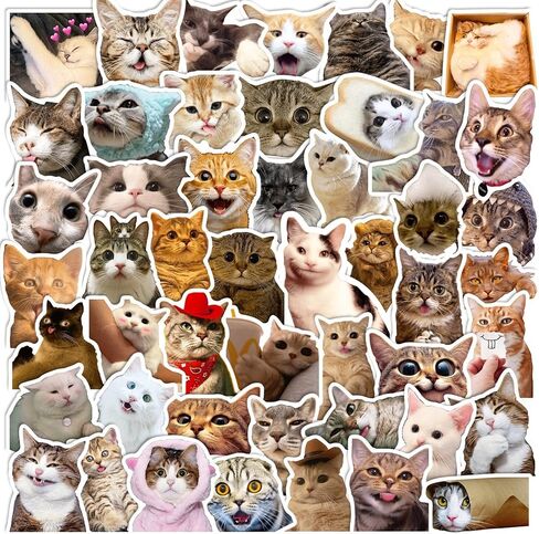100 قطعة من ملصقات القطط اللطيفة، ملصقات Lifany Funny Cat للأطفال، ملصقات Lifany الفينيل المقاومة للماء لأجهزة الكمبيوتر المحمول، ممتص الصدمات، لوح التزلج، زجاجات المياه، الكمبيوتر، الهاتف، ملصقات حيوانات لطيفة للأطفال المراهقين in Kuwait