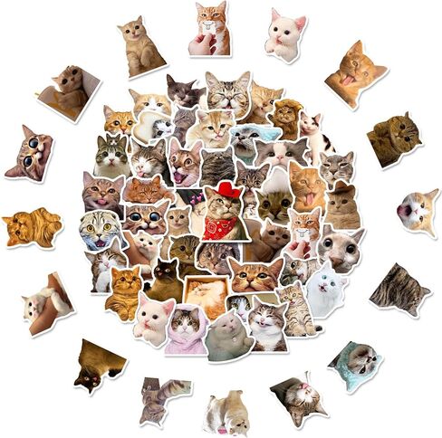 100 قطعة من ملصقات القطط اللطيفة، ملصقات Lifany Funny Cat للأطفال، ملصقات Lifany الفينيل المقاومة للماء لأجهزة الكمبيوتر المحمول، ممتص الصدمات، لوح التزلج، زجاجات المياه، الكمبيوتر، الهاتف، ملصقات حيوانات لطيفة للأطفال المراهقين in Kuwait