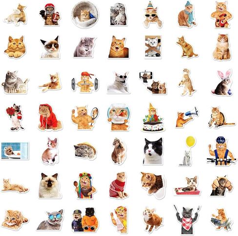 100 قطعة من ملصقات القطط اللطيفة، ملصقات Lifany Funny Cat للأطفال، ملصقات Lifany الفينيل المقاومة للماء لأجهزة الكمبيوتر المحمول، ممتص الصدمات، لوح التزلج، زجاجات المياه، الكمبيوتر، الهاتف، ملصقات حيوانات لطيفة للأطفال المراهقين in Kuwait