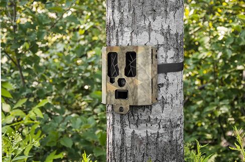 صندوق أمان لكاميرات المراقبة الخلوية SpyPoint SB-400 48 كاميرا LED | حافظة فولاذية واقية شديدة التحمل | مقاومة للطقس والحيوانات مع لوحة يسهل الوصول إليها | صندوق قفل كاميرا تريل in Kuwait