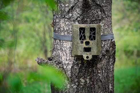 صندوق أمان لكاميرات المراقبة الخلوية SpyPoint SB-400 48 كاميرا LED | حافظة فولاذية واقية شديدة التحمل | مقاومة للطقس والحيوانات مع لوحة يسهل الوصول إليها | صندوق قفل كاميرا تريل in Kuwait