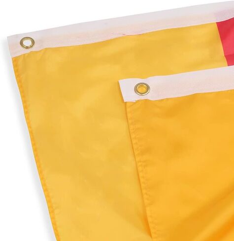 Germany German Pleated Fan Flag Bunting 3 x 6 Ft Germany Pleated 2 Pcs Fan Flag Banner Indoor/Outdoor/Front Porch Decorations, Germany Half Fan Flag Patriotic Holiday decorations, Celebrations. in Kuwait