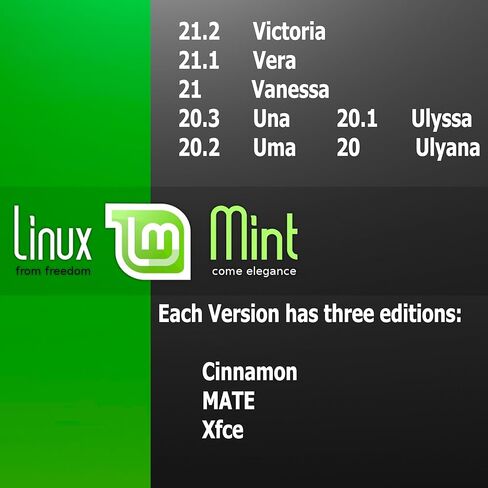 شعبية لينكس منت الكل في واحد 21.2 | 21.1 | 21 | 20.3 | 20.2 | 20.1 | 20 تثبيت نظام التشغيل استرداد التمهيد القابل للتشغيل 64 جيجابايت in Kuwait