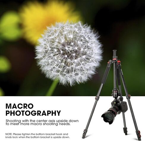 ا فايث حامل ثلاثي القوائم 65 انش، حامل ثلاثي القوائم من الالومنيوم لكاميرا دي اس ال ار، حامل ثلاثي القوائم صغير محمول مع راس كروي + لوحة سريعة الفك + حقيبة حمل حامل ثلاثي احترافي للعمل والسفر وتصوير in Kuwait