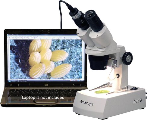 AmScope SE305R-AZ-E Digital Forward-Mounted Binocular Stereo Microscope, WF10x and WF20x Eyepieces, 10X/20X/30X/60X Magnification, 1X and 3X Objectives, Upper and Lower Halogen Light Source, Arm Stand, 120V, Includes 0.3MP Camera and Software in Saudi Arabia