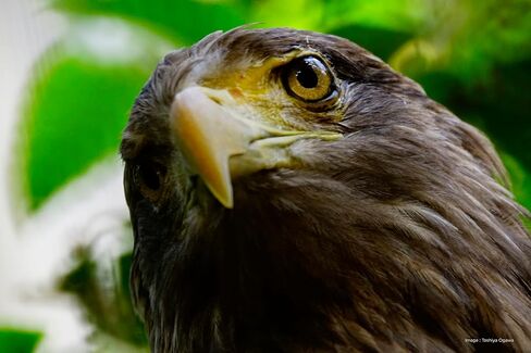 توكينا SZ-Pro 900mm F11 MF عدسة تيلي كاتاديوبتريك لحامل سوني E in Kuwait