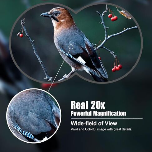 مناظير 20x50 للبالغين - مناظير لمشاهدة الطيور والصيد ومراقبة الحياة البرية والأحداث الرياضية ومشاهدة الحيتان والمشي لمسافات طويلة والتخييم in Kuwait