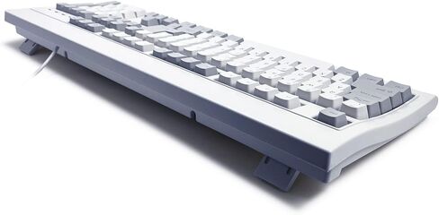 كيبورد كلاسيكي بسلك USB مع لوحة مفاتيح رقمية، 24 مفتاح بخاصية الاستجابة لضربات مفاتيح متعددة، مفتاح دخول كبير على شكل حرف L، رمادي/رمادي فاتح من السرا in Kuwait