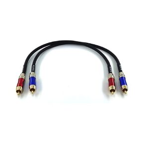 WJSTN-020 RCA إلى RCA كابل الصوت، ذكر إلى ذكر RCA كابل صوت ستيريو رقمي محوري، كابل صوت ستيريو رقمي لمضخم الصوت، المسرح المنزلي، صوت عالي الدقة مزدوج التدريع - 2 حزمة (1FT)