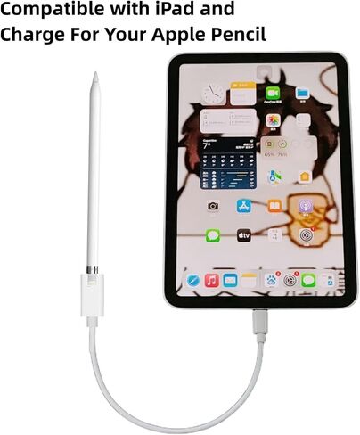 for Apple Pencil Charger 3.3FT 1Pack Apple Pencil 1st Generation | 20 Mins Full Charge for Apple Pencil 1st Generation,USB C Male to Lightning Female in Kuwait