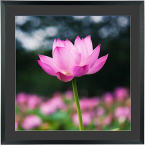 ام اكس تالوب اطارات صور فنية ماسية مقاس 18×18 انش مقاس 16×16 انش، عرض الصور مقاس 16×16 انش/ 40×40 سم مع بساط او 18×18 انش/ 45×45 سم بدون سجادة، اطار صورة مطرز بالحائط in Kuwait