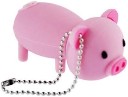 ذاكرة فلاش يو اس بي من بي ايه 16 جيجا , لون زهري , 16 جيجا in Kuwait