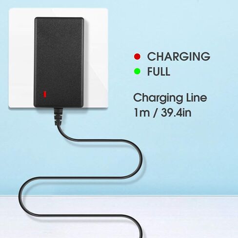 IYOBCXIHO DC 24V أو 25.2V-1A شاحن بندقية التدليك مع شاحن محول لمسدس تدليك العضلات الأنسجة العميقة 24V AC / DC سلك الطاقة فآسيا بندقية المباراة in Kuwait