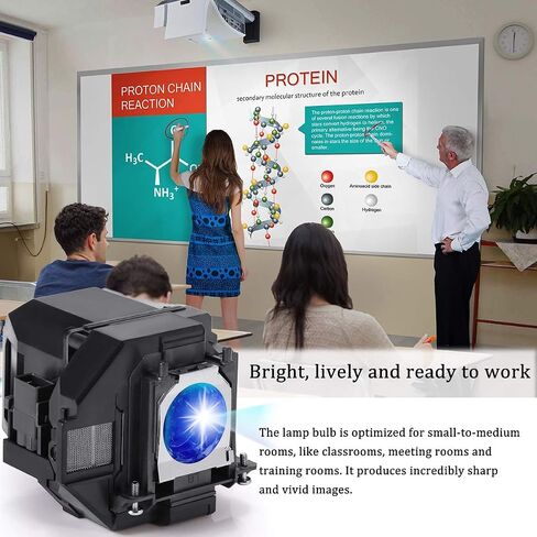 RICH LIGHTING Projector Lamp Bulb for EPSON ELPLP96/ELPLP97 Home Cinema 2150 2100 1060 660 760HD TW5700 PowerLite 992F S39 W39 X39 EX3260 EX5260 EX9210 EX7260 VS250 VS260 VS350 V13h010l96 Replacement in Kuwait