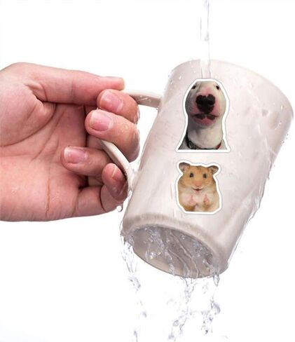 لوفلي لايف 200 قطعة من ملصقات ميمي مضحكة من الفينيل مقاومة للماء للبالغين والمراهقين والاطفال والبنات والاولاد لدفاتر اليوميات وزجاجة المياه والامتعة والجيتار ولوح التزلج والسيارة ومصد الصدمات in Kuwait