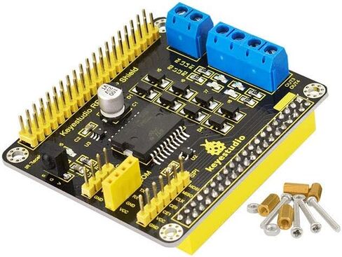 واقي محرك KEYESTUDIO لسيارة Raspberry Pi L298P in Saudi Arabia