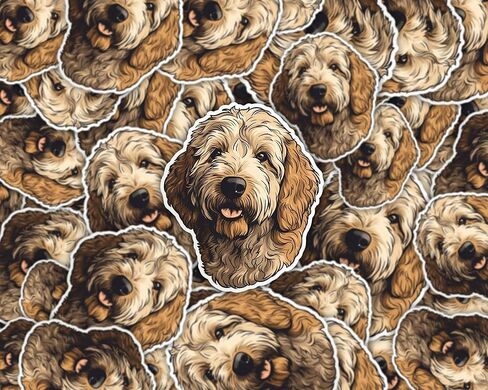 ملصق Golden Doodle - ملصق كمبيوتر محمول 3x3 - فينيل مقاوم للماء للسيارة والهاتف وزجاجة المياه - ملصق Golden Doodle Dog FBA-D19 in Kuwait