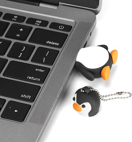 محرك فلاش USB 2.0، شريحة ذاكرة USB لطيفة وجميلة بسعة 128 جيجابايت، التوصيل والتشغيل خفيف الوزن وصغير الحجم للكمبيوتر المحمول والكمبيوتر اللوحي للتخزين والنسخ الاحتياطي (#1) in Kuwait