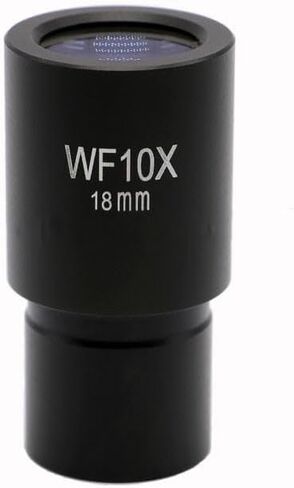 25X Microscope Eyepieces Accessories for Optical Microscope Eyepieces Biological Microscopes Lens (25X) in Saudi Arabia