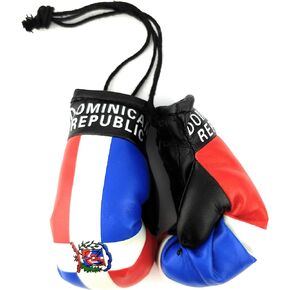 Hanging Car Mirror Mini Boxing Gloves (Argentina)