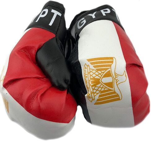Hanging Car Mirror Mini Boxing Gloves (Argentina) in Saudi Arabia