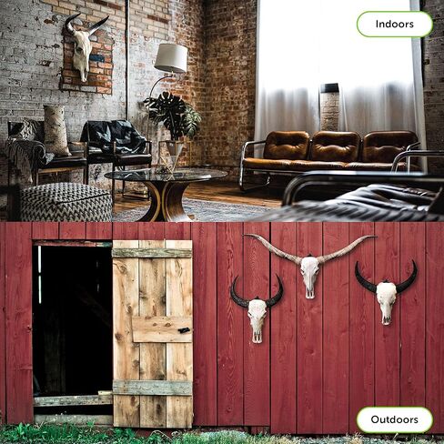 مساني حامل يثبت على الحائط بتصميم جمجمة اوروبية - عبوة واحدة - للغزلان والبغل والظباء والذئب وحيوانات الالعاب الصغيرة - زاوية 50 درجة - يحمل ما يصل الى 50 باوند - كاملة مع 2 براغي مرساة، 2 برغي ستيل in Kuwait