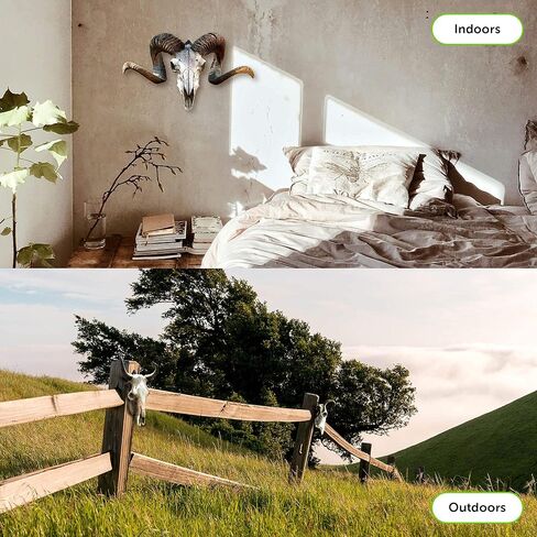 مساني حامل يثبت على الحائط بتصميم جمجمة اوروبية - عبوة واحدة - للغزلان والبغل والظباء والذئب وحيوانات الالعاب الصغيرة - زاوية 50 درجة - يحمل ما يصل الى 50 باوند - كاملة مع 2 براغي مرساة، 2 برغي ستيل in Kuwait