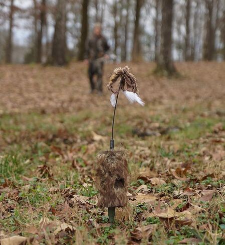 MOJO Outdoors Critter Predator Hunting Decoy - Great for Coyote and Bobcat Hunting and as a Varmint Decoy, Tail Decoy, Rabbit Decoy, etc. in Kuwait