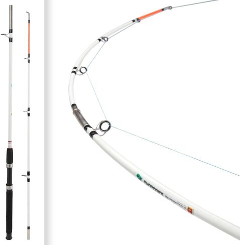 Berkley Big Game Spinning Fishing Rod in Saudi Arabia